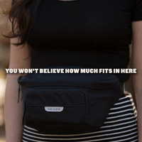 The On the Go Organizer, Dune Zebra