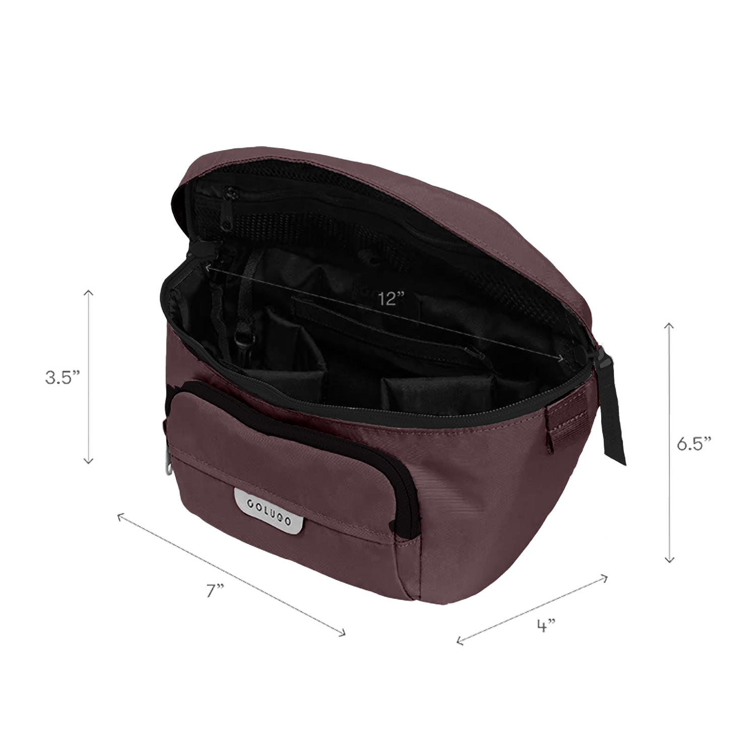 Colugo The on The Go Organizer and Fanny Pack in Black