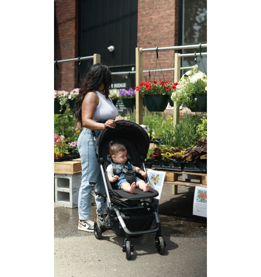 Stroller for top 55 lb child