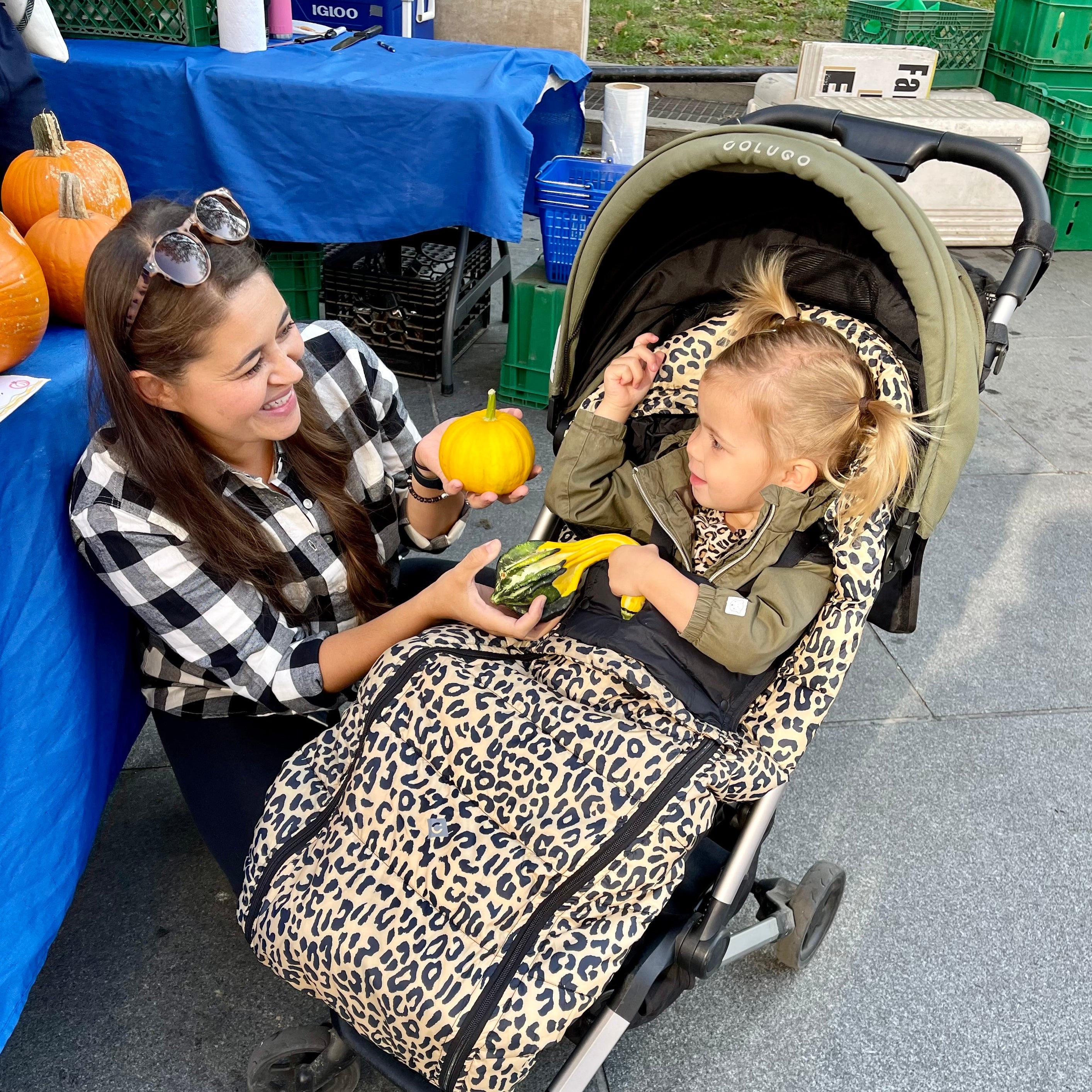 The Compact Stroller+ & The Cozy Bundle, Wild Child